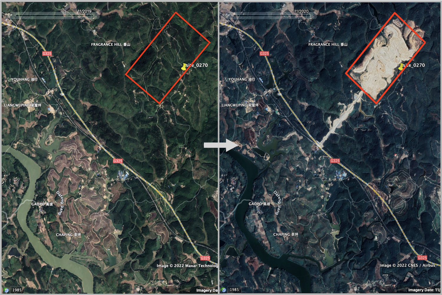 Dynamic Forest - Detect Forest Changes with RS